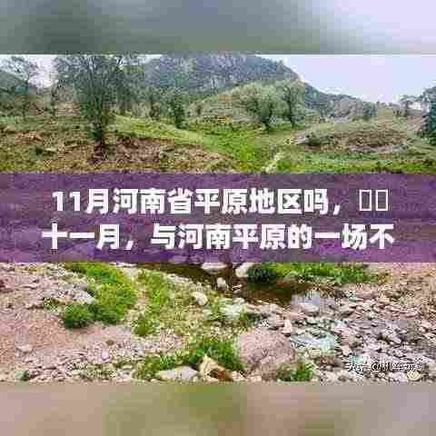 11月河南平原之旅,一场不期而遇的旅行