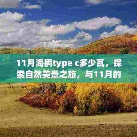 探索自然美景之旅,揭秘11月海鸥Type-C功率与共舞的自然体验