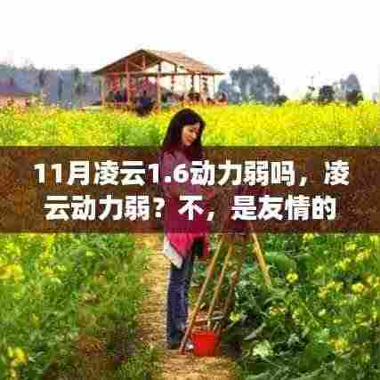 厂房环境 第353页