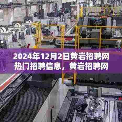 2024年12月2日黄岩招聘网热门招聘信息盛况与行业聚焦