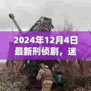 迷雾追踪,揭秘刑侦剧新篇章