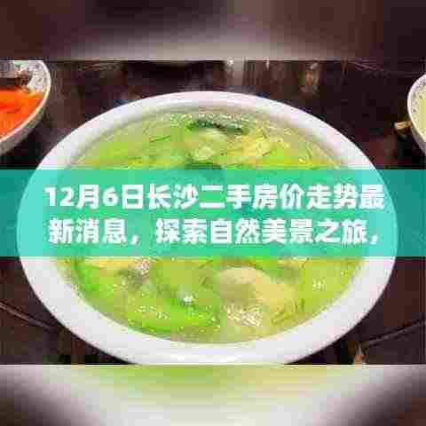 长沙二手房价走势最新动态与探索自然美景之旅,宁静背后的呼唤