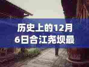 合江尧坝,友谊、爱与陪伴的温馨日常——最新新闻回顾十二月六日历史瞬间