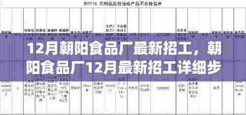 12月朝阳食品厂最新招工,朝阳食品厂12月最新招工详细步骤指南——如何顺利应聘成为食品制造专家