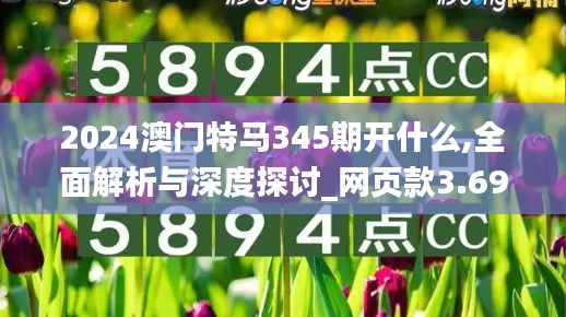 2024澳门特马345期开什么,全面解析与深度探讨_网页款3.696