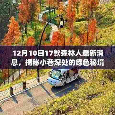 揭秘绿色秘境,森林人新品探秘之旅(最新消息更新)