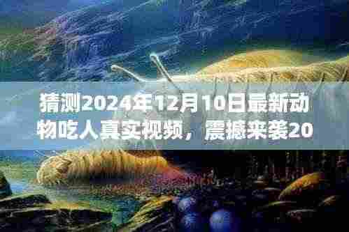 揭秘动物观察者智能视频系统,震撼捕捉动物吃人瞬间,科技巨献揭秘未来观察新纪元