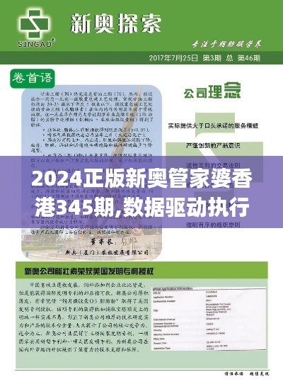 2024正版新奥管家婆香港345期,数据驱动执行方案_静态版19.201