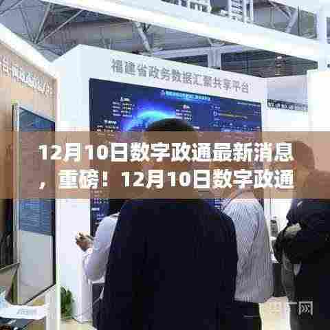 揭秘数字政通最新动态,重磅消息一览(附日期)