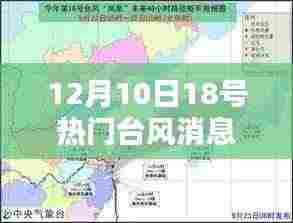台风凤凰来袭,最新路径与深远影响纪实