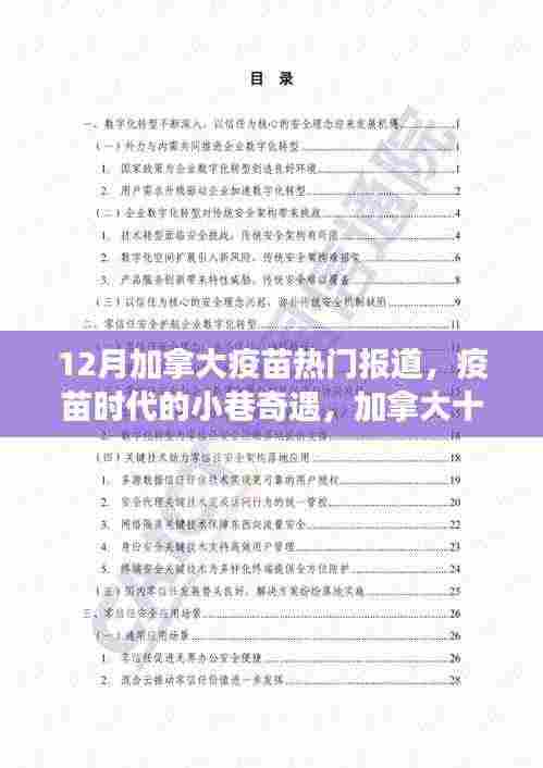 加拿大十二月疫苗热点与美食小巷奇遇记