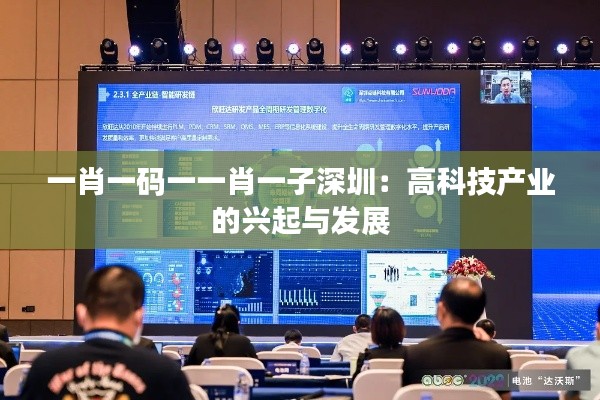 一肖一码一一肖一子深圳:高科技产业的兴起与发展