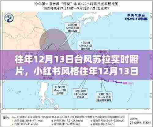 小红书风格往年台风苏拉震撼实时照片回顾,12月13日台风苏拉实时照片大放送