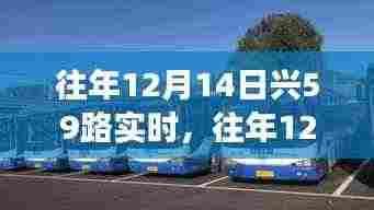 往年12月14日兴59路公交车实时运营回顾与概览