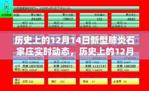 历史上的12月14日石家庄新型肺炎实时动态综述及要点解析