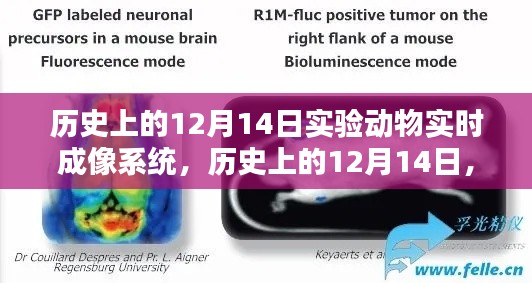 实验动物实时成像系统诞生与影响回顾,历史上的12月14日纪念文章