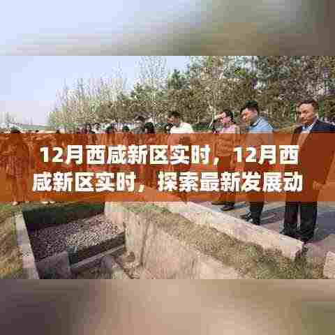 探索最新发展动态与前景展望,西咸新区十二月实时更新报告
