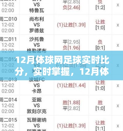 12月体球网足球实时比分解析,掌握最新动态