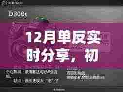 初学者与进阶用户必备的12月单反相机实时分享,玩转单反摄影技巧
