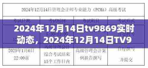 衣无二彩 第5页