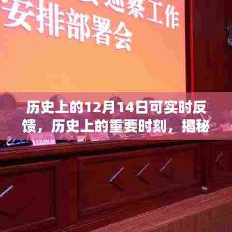 揭秘十二月十四日的独特印记,历史上的重要时刻实时反馈