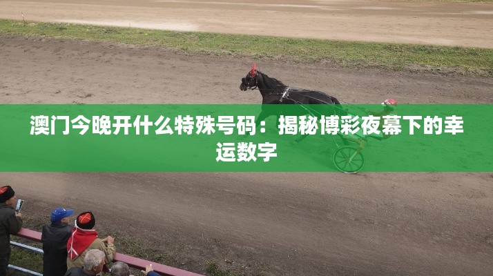 澳门今晚开什么特殊号码:揭秘博彩夜幕下的幸运数字
