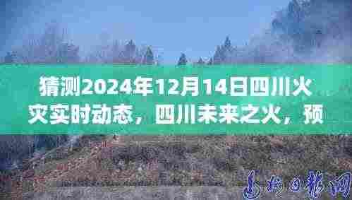 四川未来之火，透过视角预测与反思四川火灾实时动态演变（猜测至2024年12月14日）