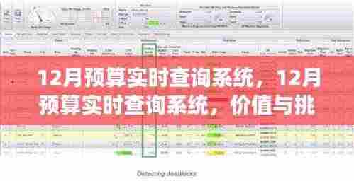 全方位解读，12月预算实时查询系统的价值与面临的挑战