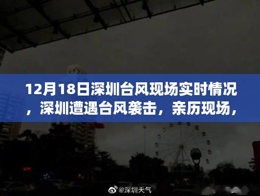 深圳台风袭击现场实录,风云巨变见证者