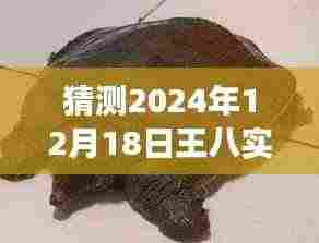 韦编三绝 第5页