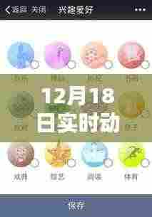 智能实时动态监管科技产品体验报告,线上线下融合,革新未来尽在指尖