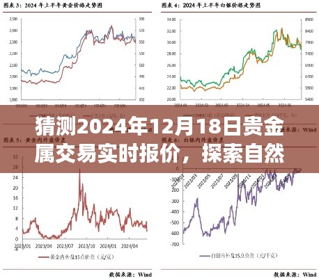 探索自然秘境与贵金属交易的心灵之旅,预测贵金属交易实时报价,揭秘未来贵金属市场走势(针对日期,2024年12月18日)