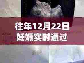 冬日孕育之旅,见证妊娠实时通过率的美好奇迹