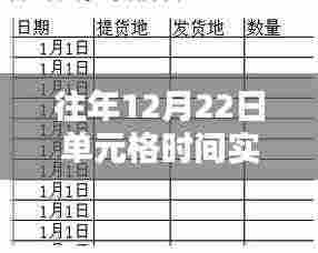 往年12月22日单元格时间实时更新解析,奥秘与应用探索