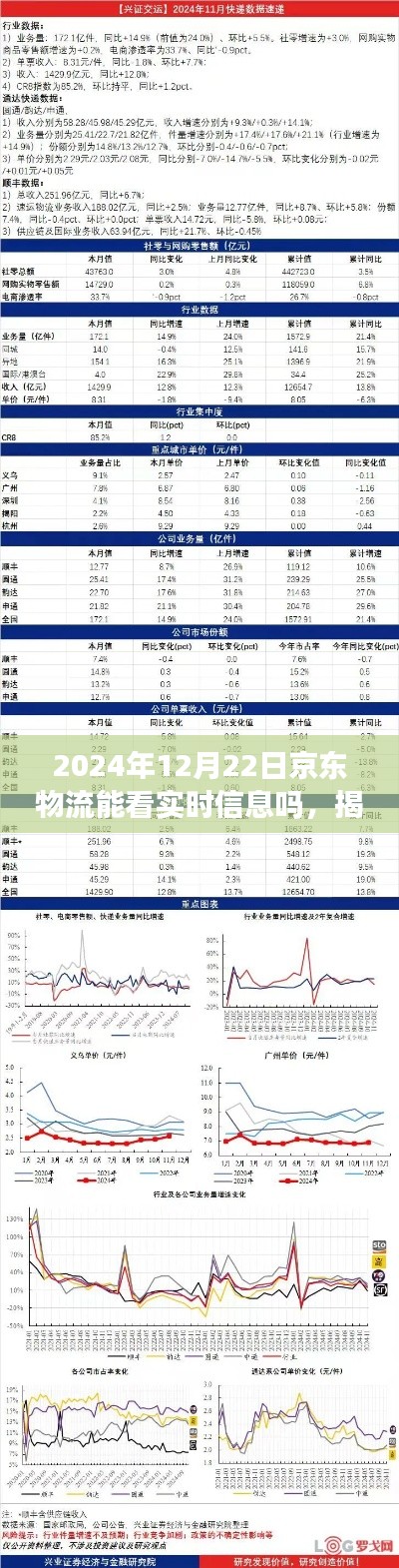 揭秘京东物流未来实时追踪功能,能否洞悉物流每一步动态至2024年12月22日?
