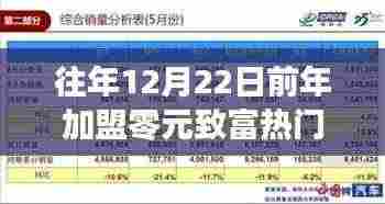 深度解析，往年12月22日前加盟零元致富热门项目的全面评测与指南