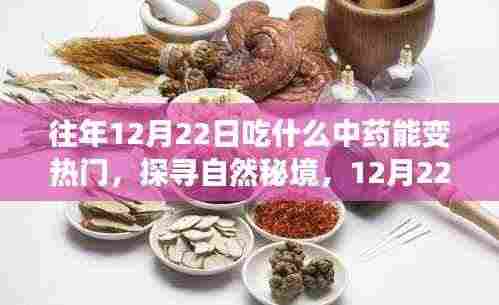 探寻自然秘境,热门中药引领心灵之旅,12月22日让心灵随草木起舞的草药选择之道