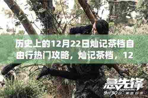 灿记茶档,暖阳下的茶韵之旅与暖心故事——12月22日自由行热门攻略