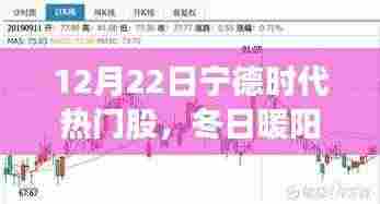 冬日暖阳下的宁德时代,热门股的投资故事