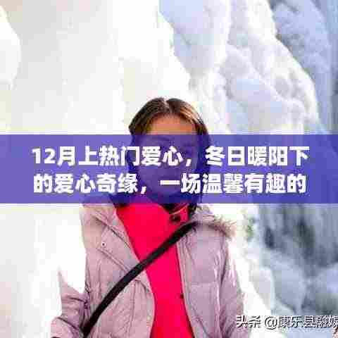 冬日暖阳下的爱心奇缘,守护之旅的温馨之旅