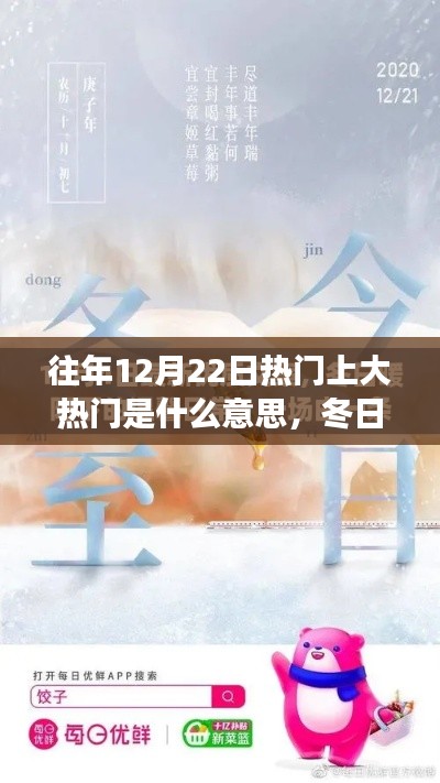 冬日暖阳下的奇缘，揭秘热门事件背后的温情故事