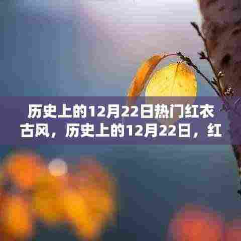 历史上的红衣古韵璀璨时刻,12月22日的璀璨记忆🌟
