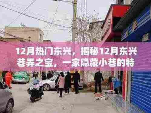 揭秘东兴巷弄之宝，12月隐藏小巷的特色小店探索之旅