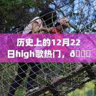 🌟 12月22日科技盛宴,High歌狂欢日与全新高科技产品的感官革命!