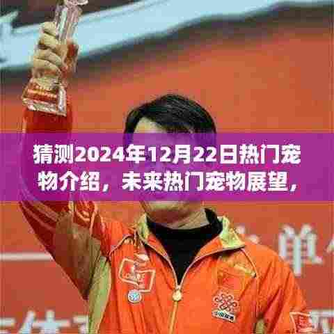 未来宠物展望,预测2024年12月22日热门宠物潮流趋势