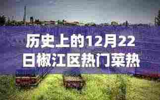 椒江区十二月二十二日热门菜探寻之旅,美食背后的历史与文化价值揭秘
