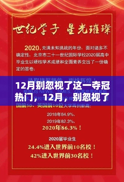 12月新星璀璨崛起,探寻夺冠热门之星领域地位与崛起之路