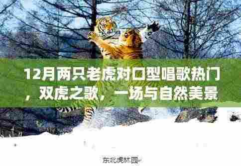 双虎之歌,与自然美景的邂逅,唤醒内心的平静之旅