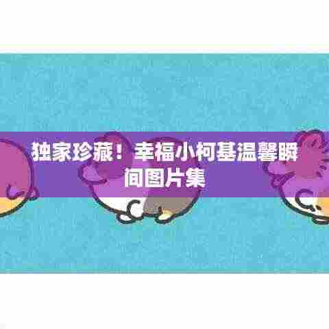 独家珍藏!幸福小柯基温馨瞬间图片集