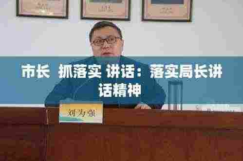 市长 抓落实 讲话:落实局长讲话精神